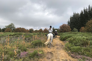 Photo n°8 de EQi Harmonie, ferme équestre initiatique et sanctuaire de chevaux en Ardèche à Saint-Laurent-sous-Coiron (Centre de randonnée équestre)