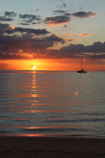 Twinsburg Travel & Cruise Inc. - Thumbnail