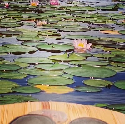 Photos of Plum Orchard Lake