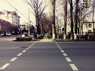 university