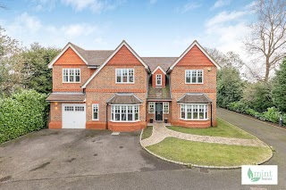 mint homes