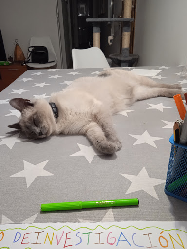 Clínica Veterinaria Munic72 - Thumbnail