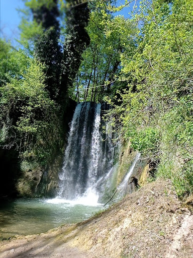 Parco del Serafino - Thumbnail
