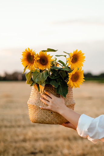 Cotswold Beauty | Mobile Beauty Therapist