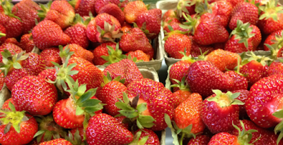 Photos of L E Huck & Sons Farm Market