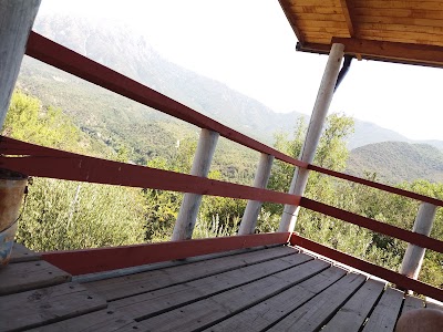 Photos of espinalillo
