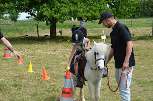 Photo n°6 de Emy reining horses à L'Épine-aux-Bois (Centre équestre)
