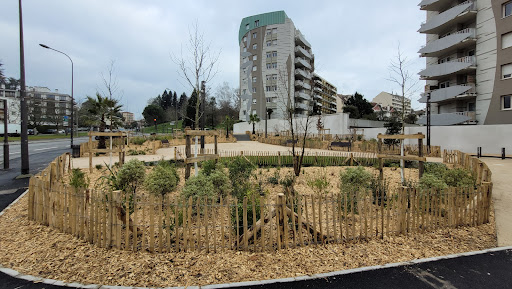 Square d'Étigny Gallery - France