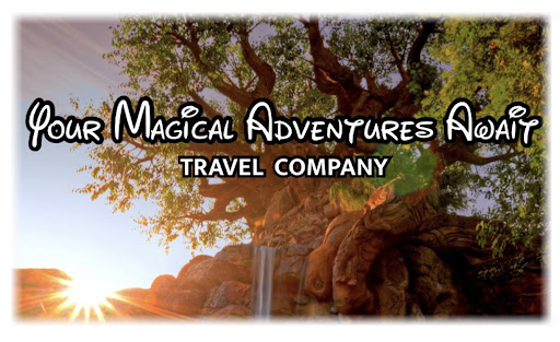 Your Magical Adventures Await