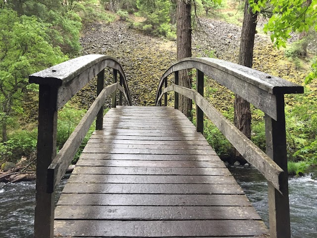 McArthur-Burney Falls Interpretive Association