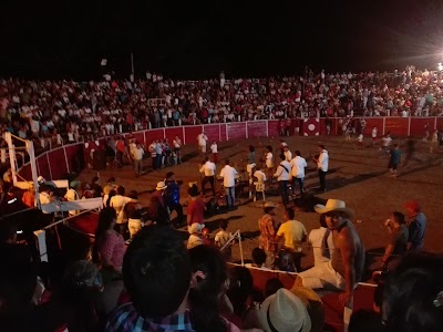 Photos of Viot&aacute; Main Park