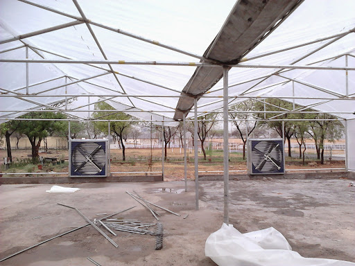 Gallery image 7
