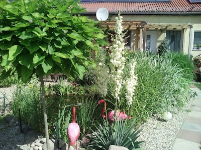 Photos of Ferienwohnung Seeidyll