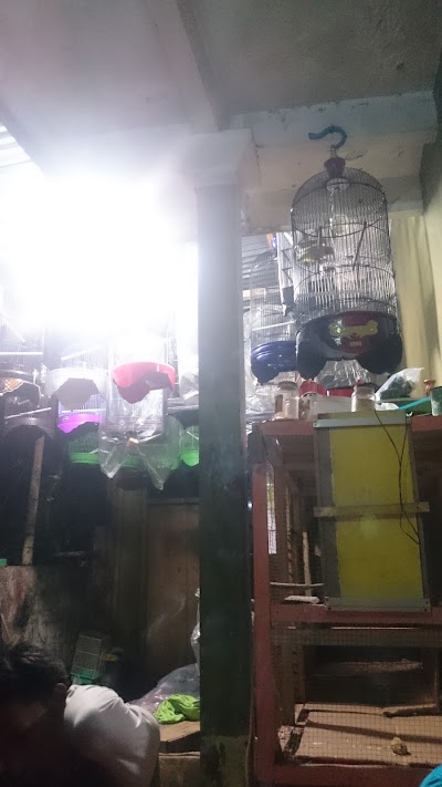 store