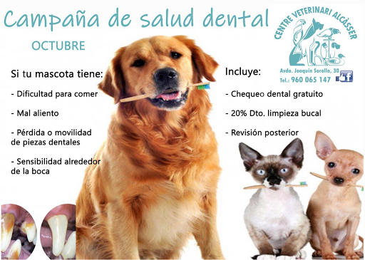 Centro Veterinario Alcàsser - Eva Pérez Teodoro