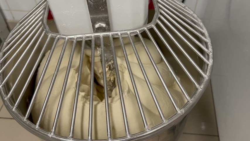 The Black Bear by null