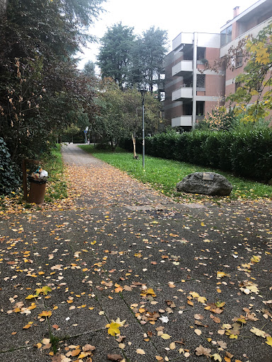 Parco Tabanelli - Visual