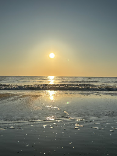 site_photo1