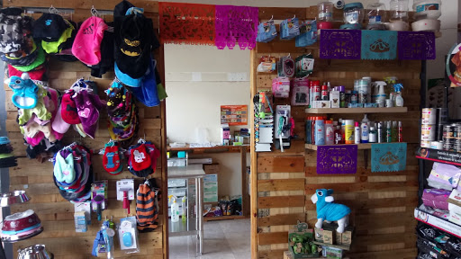 Pet Clinic