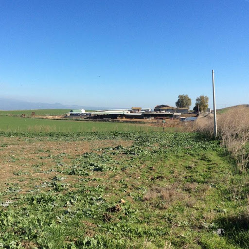 Azienda Agricola Borzi' La Casa dei Formaggi - Thumbnail