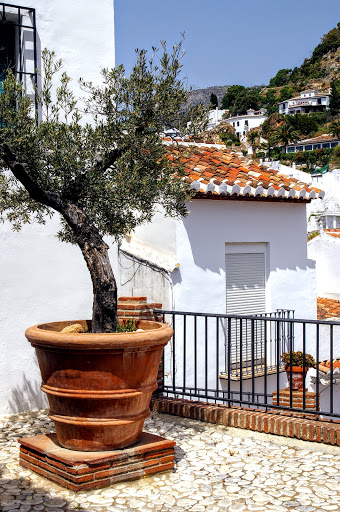 Ayuntamiento de Frigiliana - Thumbnail