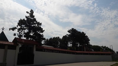 Photos of Шиномонтаж