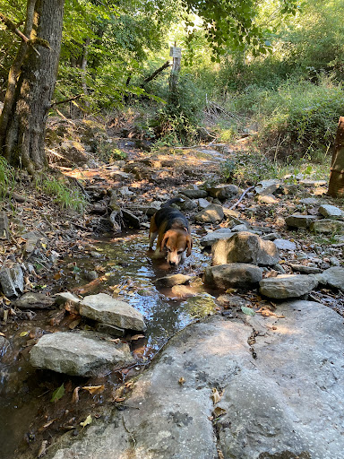 Magic Stream