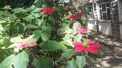 Photos of Botanical Garden