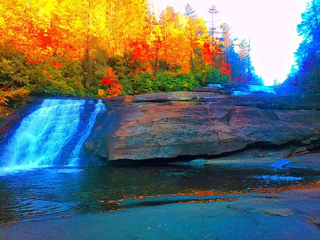 Dupont State Forest