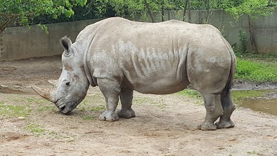 Photos of The Louisville Zoo