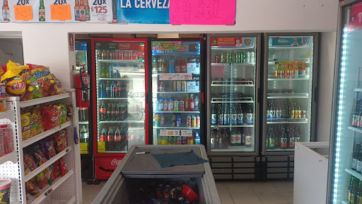 Tiendas tecate Six panda Gallery - Mexico