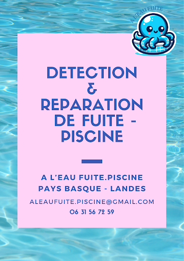 Photo de ALLO PISCINE SERVICE PLUS