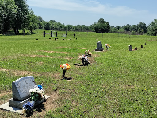 nancy sheppard cemetery - United States