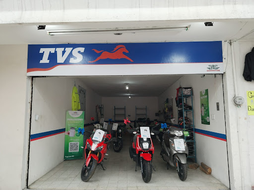TVS Cd. Mendoza