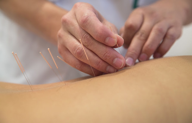 Opinii despre reWell - osteopatia, fizjoterapia, masaż, kobido în Warszawa - Fizjoterapeuta