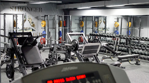LiftingCo - Visual
