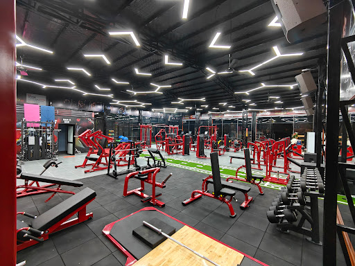 Happy Life Gym - Phòng Tập Gym Quảng Ninh