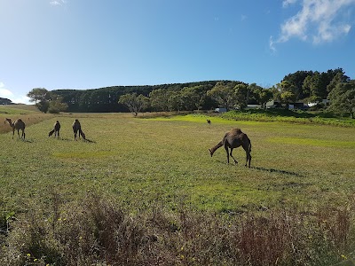 Photos of Eastern Reef Cottages
