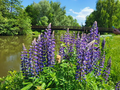 Park links der Weser - Thumbnail