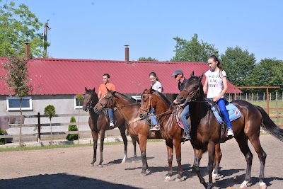 Photos of საცხენოსნო კლუბი "ხარება" / Horse Club "Khareba"