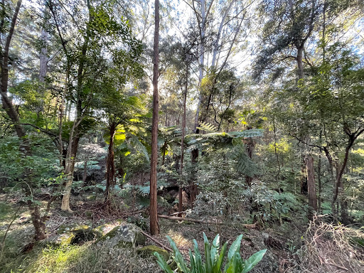 Pennant Hills Park - Thumbnail