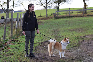 Photo n°31 de MFR Mortagne au Perche à Mortagne-au-Perche (Lycée)