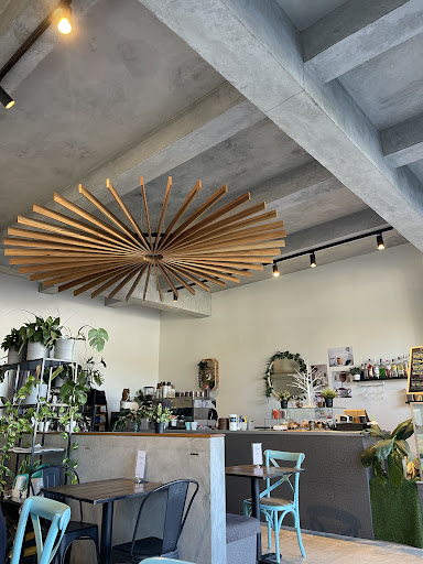 Background Barista - Visual