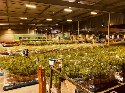 Woolworths Distribution Centre - Thumbnail