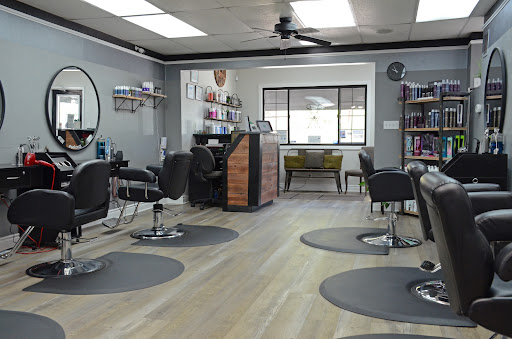Salon 13 - Thumbnail