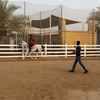 Photos of نادي الشهامة للفروسية