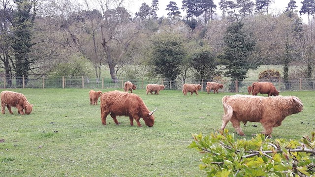 Chopwell Woodland Park