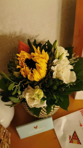 Blumen Schwarz - Visual