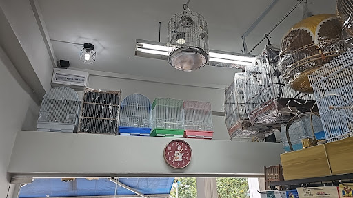 Bird Canopy - Thumbnail