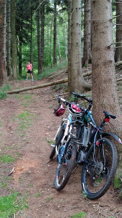 Photos of Kur- und Tourismusamt